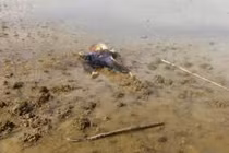 Tranh chấp đất, hai chú cháu đâm nhau tử vong