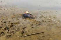 Tranh chấp đất, hai chú cháu đâm nhau tử vong