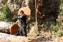 Sơn La: Tận mắt xem lâm tặc phá rừng Chiềng Khừa