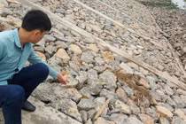 Ninh Bình: Bất thường việc chỉ định thầu dự án kè đê sông Vạc