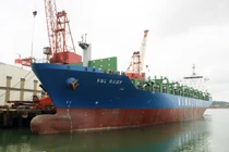 Đấu giá tàu Vinalines RUBY: "Công ty đấu giá Thăng Long sai quy trình"?