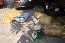 Bắt hơn nửa tấn thịt bẩn trên đường vào Hà Nội tiêu thụ