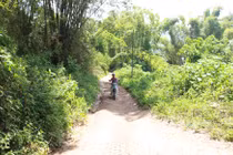 Trộm xương cô gái bị sét đánh, đại gia “chết thảm“