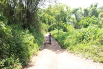 Trộm xương cô gái bị sét đánh, đại gia “chết thảm“