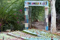 100 hài nhi chôn trong ngôi mộ hình bánh gato