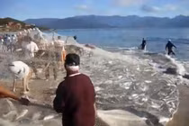 Clip đánh bắt cá cực hoành tráng 