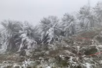 Nhiệt độ xuống âm 1,1 độ C, băng giá phủ trắng đỉnh Mẫu Sơn