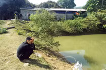 2 bé trai trường mầm non chết đuối thương tâm