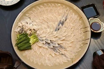 Lý do người Nhật ăn cá nóc độc với giá nghìn đô