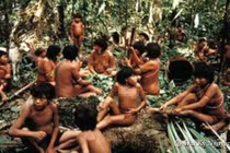 Kinh hãi hủ tục ăn tro người chết của bộ lạc ở Amazon