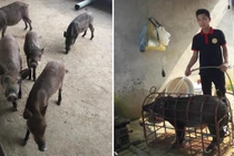 Ám ảnh thực phẩm bẩn, 9x startup với mô hình "từ trang trại đến bàn ăn"