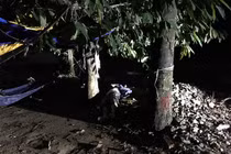 Phát hiện thi thể người đàn ông nằm bên gốc cây sau trời mưa