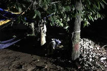Phát hiện thi thể người đàn ông nằm bên gốc cây sau trời mưa