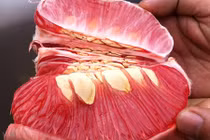 Những thời điểm nếu ăn bưởi sẽ làm cơ thể yếu xìu