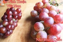 Cách vạch mặt nho Trung Quốc lừa người tiêu dùng
