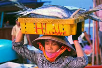 Nhọc nhằn những người phụ nữ đội cá ven biển Hà Tĩnh