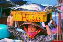 Nhọc nhằn những người phụ nữ đội cá ven biển Hà Tĩnh