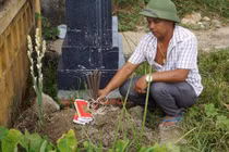 Bàng hoàng phát hiện một thi thể bé gái sơ sinh ở nghĩa trang