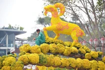 Đường hoa Đà Nẵng chính thức khai hội đón khách