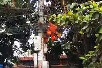 Nam công nhân bị điện giật treo trên trụ, tử vong thương tâm