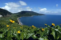 Loạt ảnh đẹp tuyệt mỹ về thành phố đáng sống nhất VN