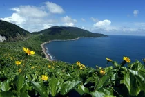 Loạt ảnh đẹp tuyệt mỹ về thành phố đáng sống nhất VN