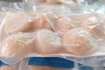 Cồi sò điệp 10 triệu/kg: Dân nhậu nhà giàu, xem trận bóng xơi 1kg