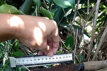 Mâu thuẫn mua ma túy, xông vào nhà đâm người thân của bạn 