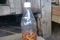 Uống rượu ngâm với rễ cây, 2 người lên cơn co giật và tử vong 