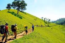 Băng rừng trên cung đường trek đẹp nhất Việt Nam
