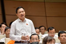 Vì sao nhiều ĐBQH chưa tán thành quy định cấm uống rượu, bia khi lái xe?