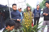 Ảnh: Tấp nập chợ hoa Tết Vạn Phúc