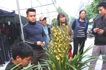 Ảnh: Tấp nập chợ hoa Tết Vạn Phúc