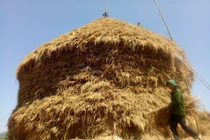 Sự thật bất ngờ việc 4 cây rơm bỗng dưng bốc cháy ở Thanh Hóa