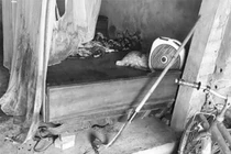 Bắc Giang: Bé trai bị bác ruột dùng dao chém đứt lìa 2 tay