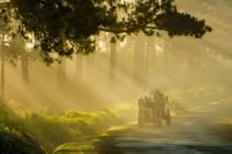 Khoảnh khắc Đà Lạt chìm trong sương đẹp tựa chốn thiên đường 