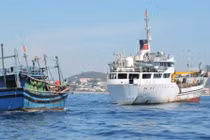Tàu cá Quảng Nam bị đâm ở vùng biển Hoàng Sa