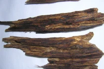 Huyền tích bí ẩn về trầm hương - "sản vật của trời" 