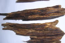 Huyền tích bí ẩn về trầm hương - "sản vật của trời" 