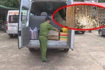 Hàng chục cá thể động vật sống suýt bị đưa lên bàn nhậu