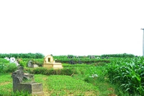 Lý giải 13 kiểu đất đồng bằng không thể táng mộ