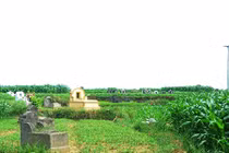 Lý giải 13 kiểu đất đồng bằng không thể táng mộ