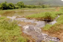 Bức xúc việc xả nước thải trái phép chưa qua xử lý của Công ty CP mía đường Tuy Hoà