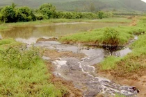 Bức xúc việc xả nước thải trái phép chưa qua xử lý của Công ty CP mía đường Tuy Hoà