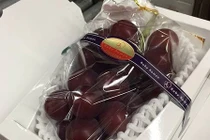 Giật mình chùm nho đắt nhất thế giới gần chục nghìn USD