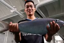 Trải nghiệm thú vị khi săn cá đêm trên biển Trường Sa