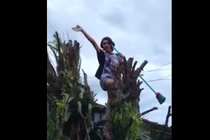 Leo lên cây quẩy và cái kết đầy bất ngờ