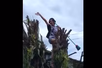 Leo lên cây quẩy và cái kết đầy bất ngờ