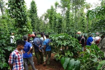 Chồng giết chết vợ rồi uống thuốc tự tử