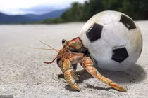 20 bức ảnh môi trường khiến con người thảng thốt